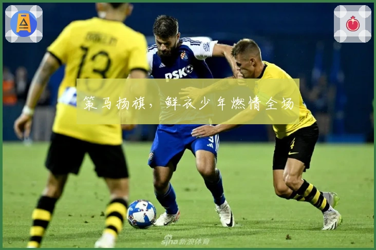 策马扬旗，鲜衣少年燃情全场