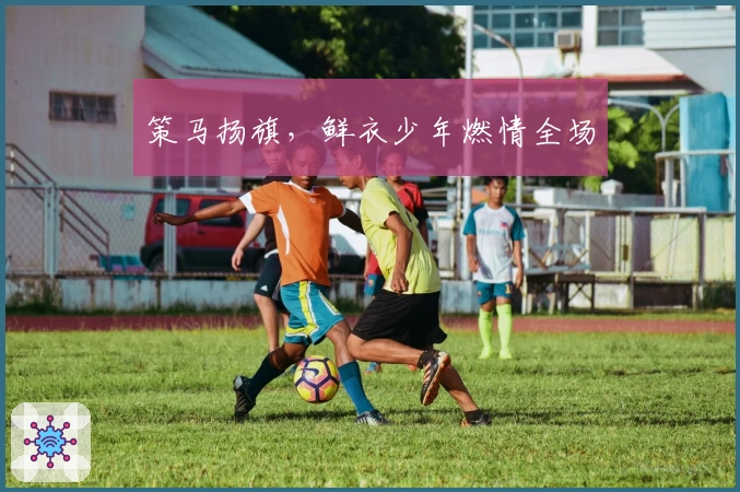 策马扬旗，鲜衣少年燃情全场